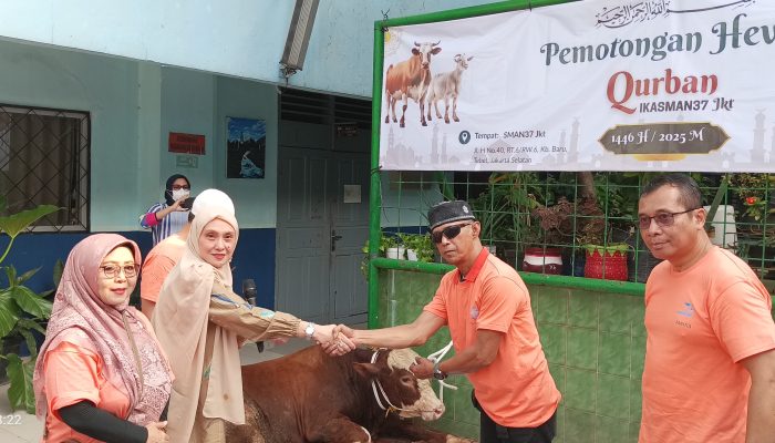 IKASMAN 37 Jakarta Gelar Penyembelihan Hewan Qurban