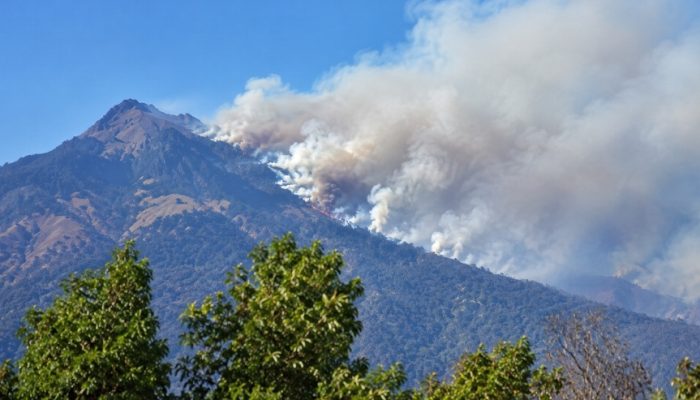 Kebakaran Hutan Gunung Rinjani Meluas, Hampir 1000 Hektar Terdampak